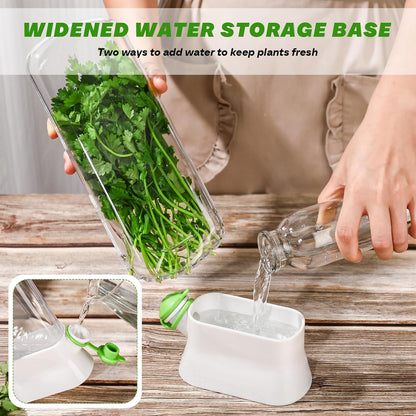 2 Pieces Herb Saver for Refrigerator Fresh Herb Keeper Cilantro Container for Fridge Saver Pod for Cilantro, Parsley, Asparagus, Keeps Vegetables for 2-3 Weeks(White)