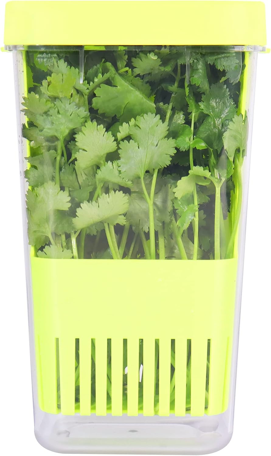 Fresh Herb Keeper for Refrigerator, Clear BPA-Free Herb Saver, Storage Container for Cilantro, Parsley, Thyme, Mint & Asparagus, Preserver Keeps Fresh Herbs for 3 Times Longer, Green & Orange