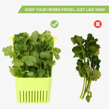 Fresh Herb Keeper for Refrigerator, Clear BPA-Free Herb Saver, Storage Container for Cilantro, Parsley, Thyme, Mint & Asparagus, Preserver Keeps Fresh Herbs for 3 Times Longer, Green & Orange