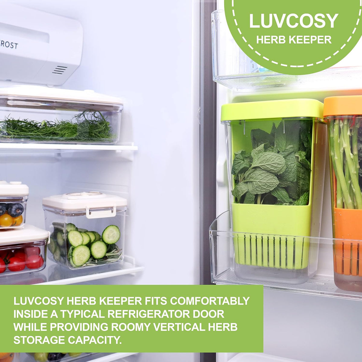 Fresh Herb Keeper for Refrigerator, Clear BPA-Free Herb Saver, Storage Container for Cilantro, Parsley, Thyme, Mint & Asparagus, Preserver Keeps Fresh Herbs for 3 Times Longer, Green & Orange