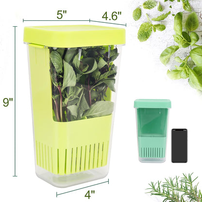 Fresh Herb Keeper for Refrigerator, Clear BPA-Free Herb Saver, Storage Container for Cilantro, Parsley, Thyme, Mint & Asparagus, Preserver Keeps Fresh Herbs for 3 Times Longer, Green & Orange