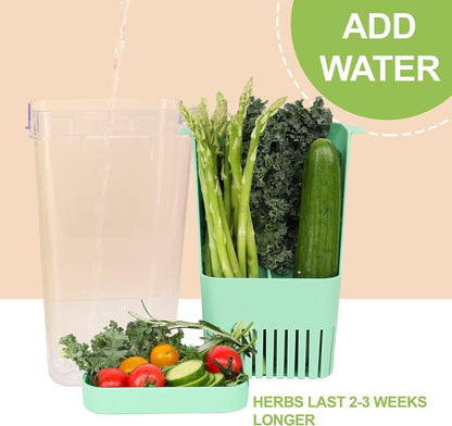 Fresh Herb Keeper for Refrigerator, Clear BPA-Free Herb Saver, Storage Container for Cilantro, Parsley, Thyme, Mint & Asparagus, Preserver Keeps Fresh Herbs for 3 Times Longer, Green & Orange