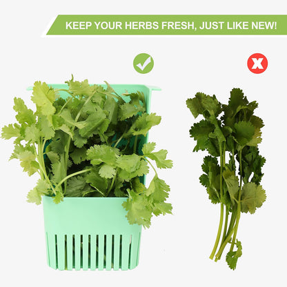 Fresh Herb Keeper for Refrigerator, Clear BPA-Free Herb Saver, Storage Container for Cilantro, Parsley, Thyme, Mint & Asparagus, Preserver Keeps Fresh Herbs for 3 Times Longer, Green & Orange