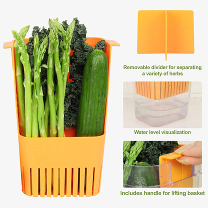 Fresh Herb Keeper for Refrigerator, Clear BPA-Free Herb Saver, Storage Container for Cilantro, Parsley, Thyme, Mint & Asparagus, Preserver Keeps Fresh Herbs for 3 Times Longer, Green & Orange