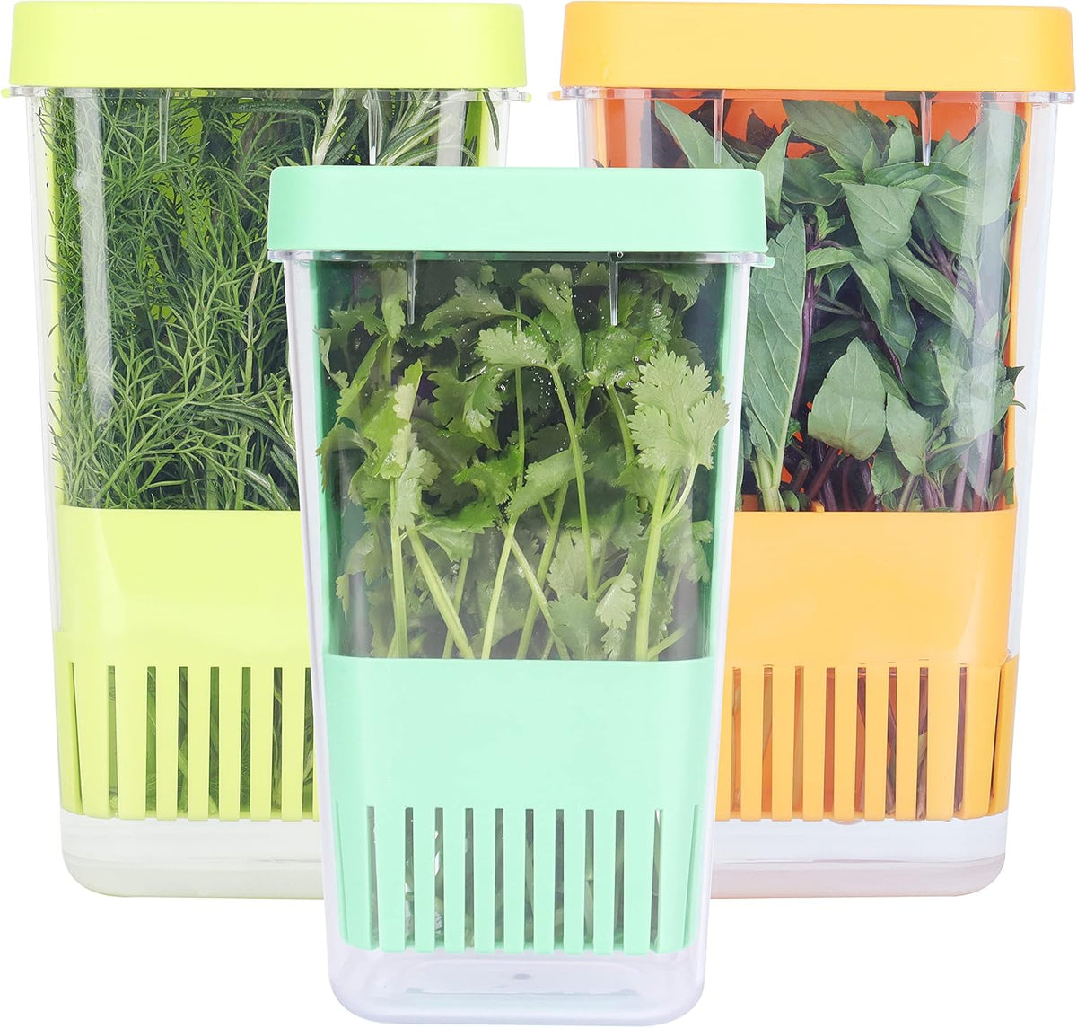 Fresh Herb Keeper for Refrigerator, Clear BPA-Free Herb Saver, Storage Container for Cilantro, Parsley, Thyme, Mint & Asparagus, Preserver Keeps Fresh Herbs for 3 Times Longer, Green & Orange