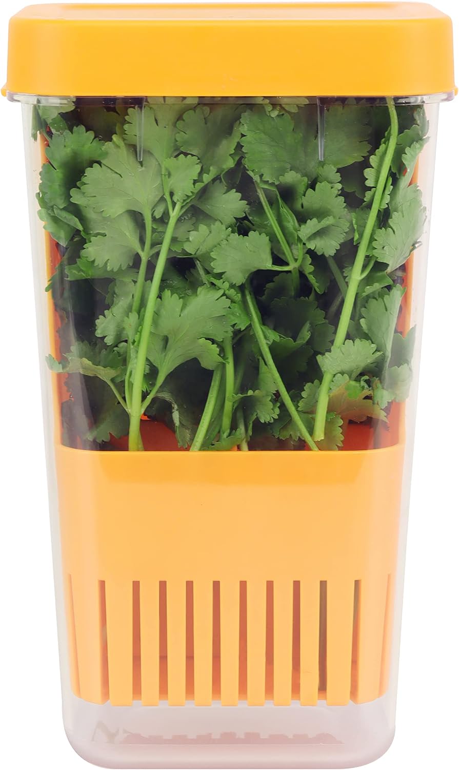 Fresh Herb Keeper for Refrigerator, Clear BPA-Free Herb Saver, Storage Container for Cilantro, Parsley, Thyme, Mint & Asparagus, Preserver Keeps Fresh Herbs for 3 Times Longer, Green & Orange