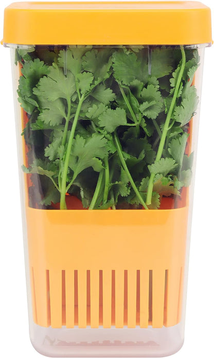Fresh Herb Keeper for Refrigerator, Clear BPA-Free Herb Saver, Storage Container for Cilantro, Parsley, Thyme, Mint & Asparagus, Preserver Keeps Fresh Herbs for 3 Times Longer, Green & Orange