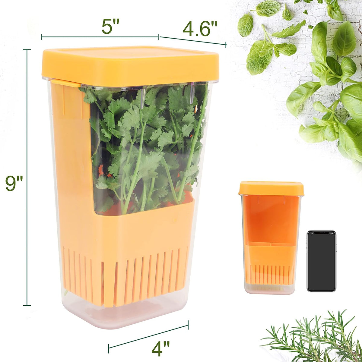 Fresh Herb Keeper for Refrigerator, Clear BPA-Free Herb Saver, Storage Container for Cilantro, Parsley, Thyme, Mint & Asparagus, Preserver Keeps Fresh Herbs for 3 Times Longer, Green & Orange