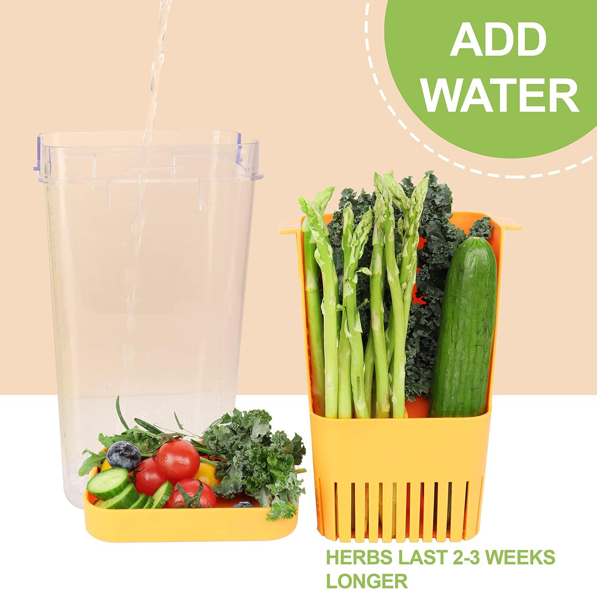 Fresh Herb Keeper for Refrigerator, Clear BPA-Free Herb Saver, Storage Container for Cilantro, Parsley, Thyme, Mint & Asparagus, Preserver Keeps Fresh Herbs for 3 Times Longer, Green & Orange