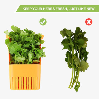 Fresh Herb Keeper for Refrigerator, Clear BPA-Free Herb Saver, Storage Container for Cilantro, Parsley, Thyme, Mint & Asparagus, Preserver Keeps Fresh Herbs for 3 Times Longer, Green & Orange