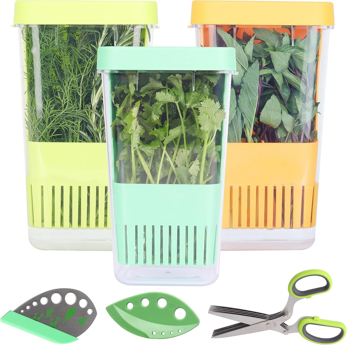 Fresh Herb Keeper for Refrigerator, Clear BPA-Free Herb Saver, Storage Container for Cilantro, Parsley, Thyme, Mint & Asparagus, Preserver Keeps Fresh Herbs for 3 Times Longer, Green & Orange
