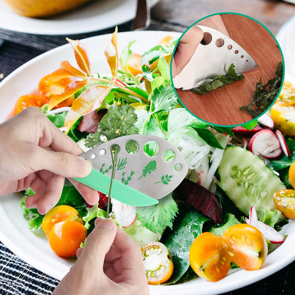Fresh Herb Keeper for Refrigerator, Clear BPA-Free Herb Saver, Storage Container for Cilantro, Parsley, Thyme, Mint & Asparagus, Preserver Keeps Fresh Herbs for 3 Times Longer, Green & Orange