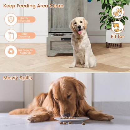 Dog Feeding Station with 2 Elevated Bowls