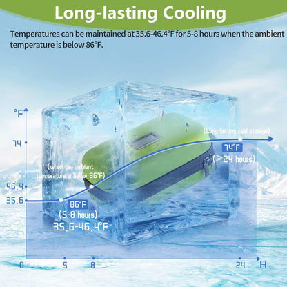 Insulin Cooler Travel Case TSA Approved Refrigerated Medicine Cooler for Travel w/Thermometer Temperature Diabetic Travel Case w/2 Reusable Ice Packs for Daily Life Trip, Blue