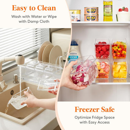 Taco Bar Serving Set for Party with 4 x 20 oz Containers, Ice Chilled Condiment Caddy Organizer, Garnish Serving Tray Platter for Mimosa Bar Accessories, Fruit, Salad, Food