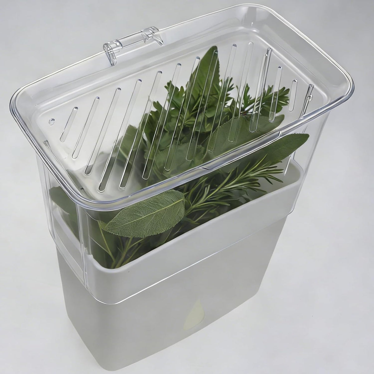 Fresh Herb Keeper, Herb Saver for Refrigerator, Storage Container for Cilantro, Parsley, Thyme, Mint & Asparagus, Prolonging Freshness of All Herbs, Easy-to-Use for Store-Bought Herbs