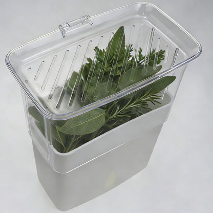 Fresh Herb Keeper, Herb Saver for Refrigerator, Storage Container for Cilantro, Parsley, Thyme, Mint & Asparagus, Prolonging Freshness of All Herbs, Easy-to-Use for Store-Bought Herbs