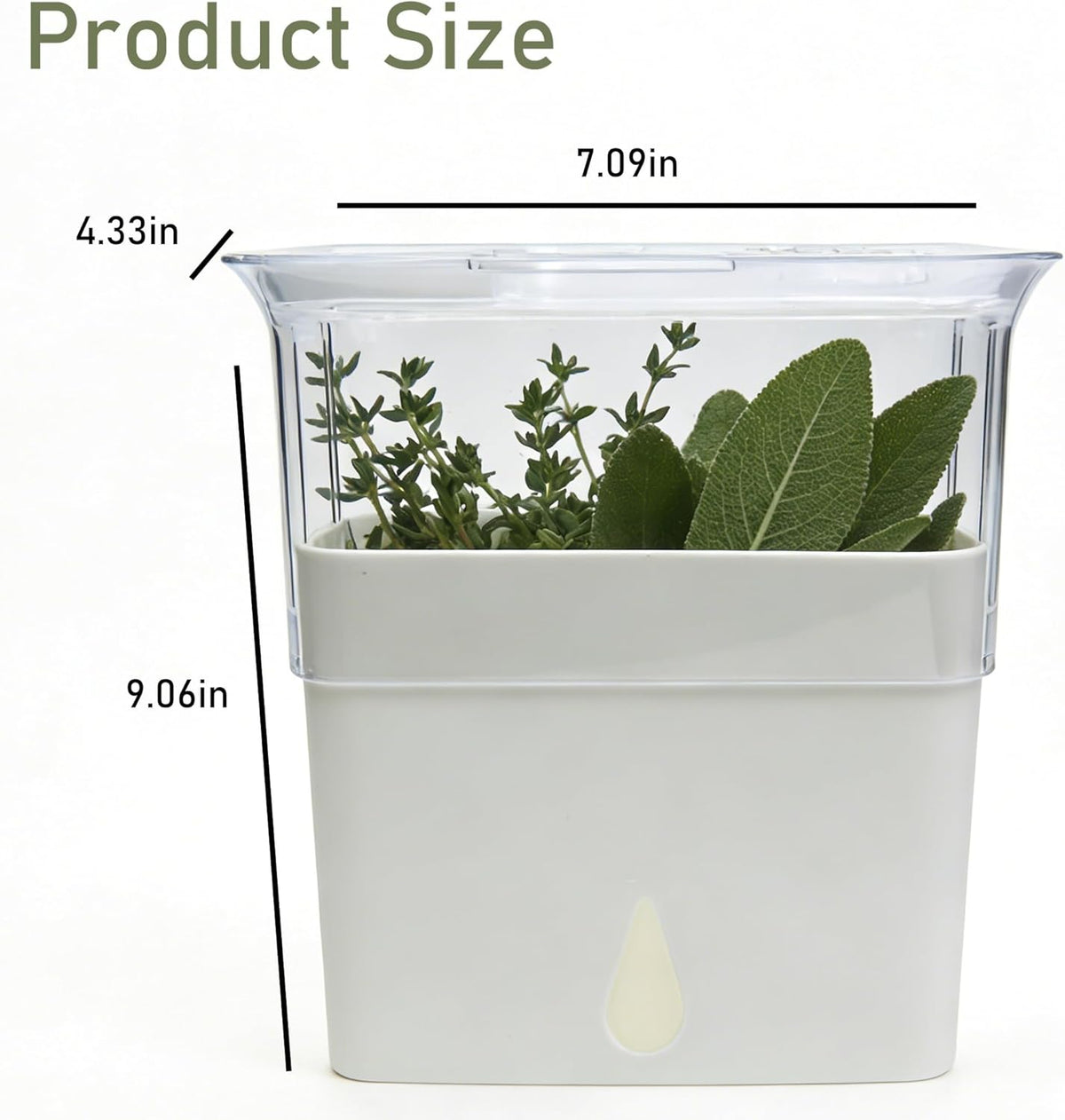 Fresh Herb Keeper, Herb Saver for Refrigerator, Storage Container for Cilantro, Parsley, Thyme, Mint & Asparagus, Prolonging Freshness of All Herbs, Easy-to-Use for Store-Bought Herbs