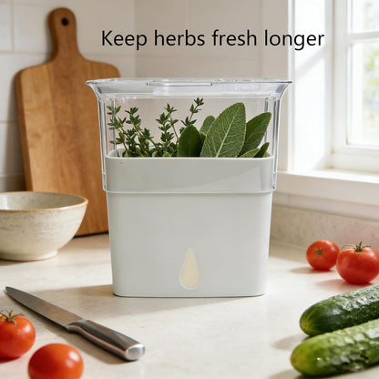 Fresh Herb Keeper, Herb Saver for Refrigerator, Storage Container for Cilantro, Parsley, Thyme, Mint & Asparagus, Prolonging Freshness of All Herbs, Easy-to-Use for Store-Bought Herbs