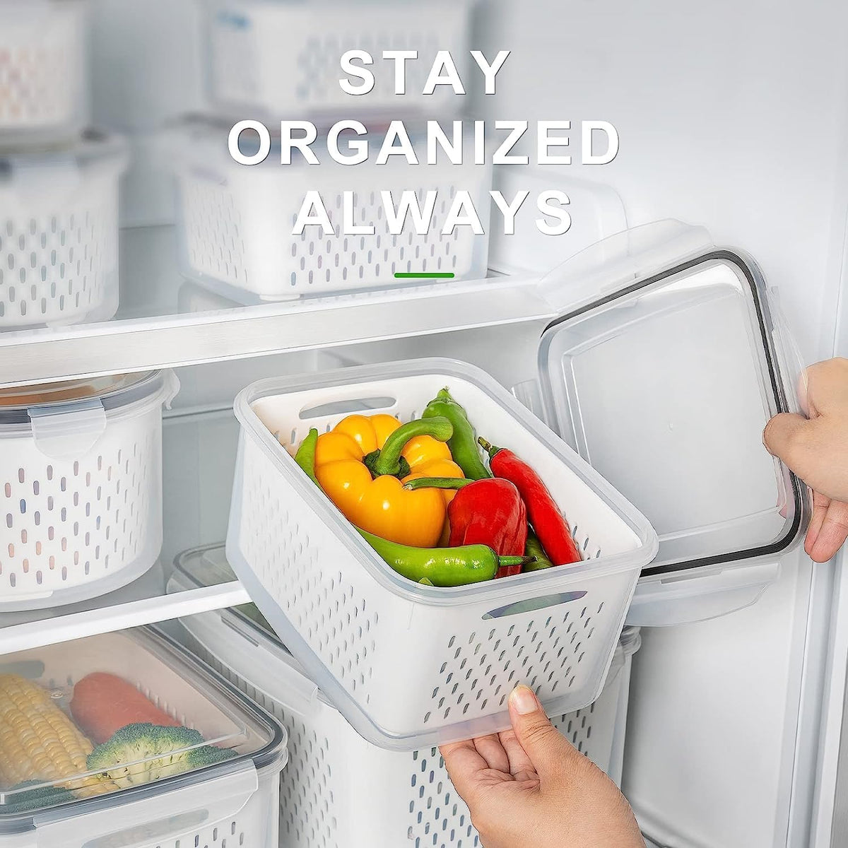 Fruit Storage Containers for Fridge with Removable Colander 4 PCS