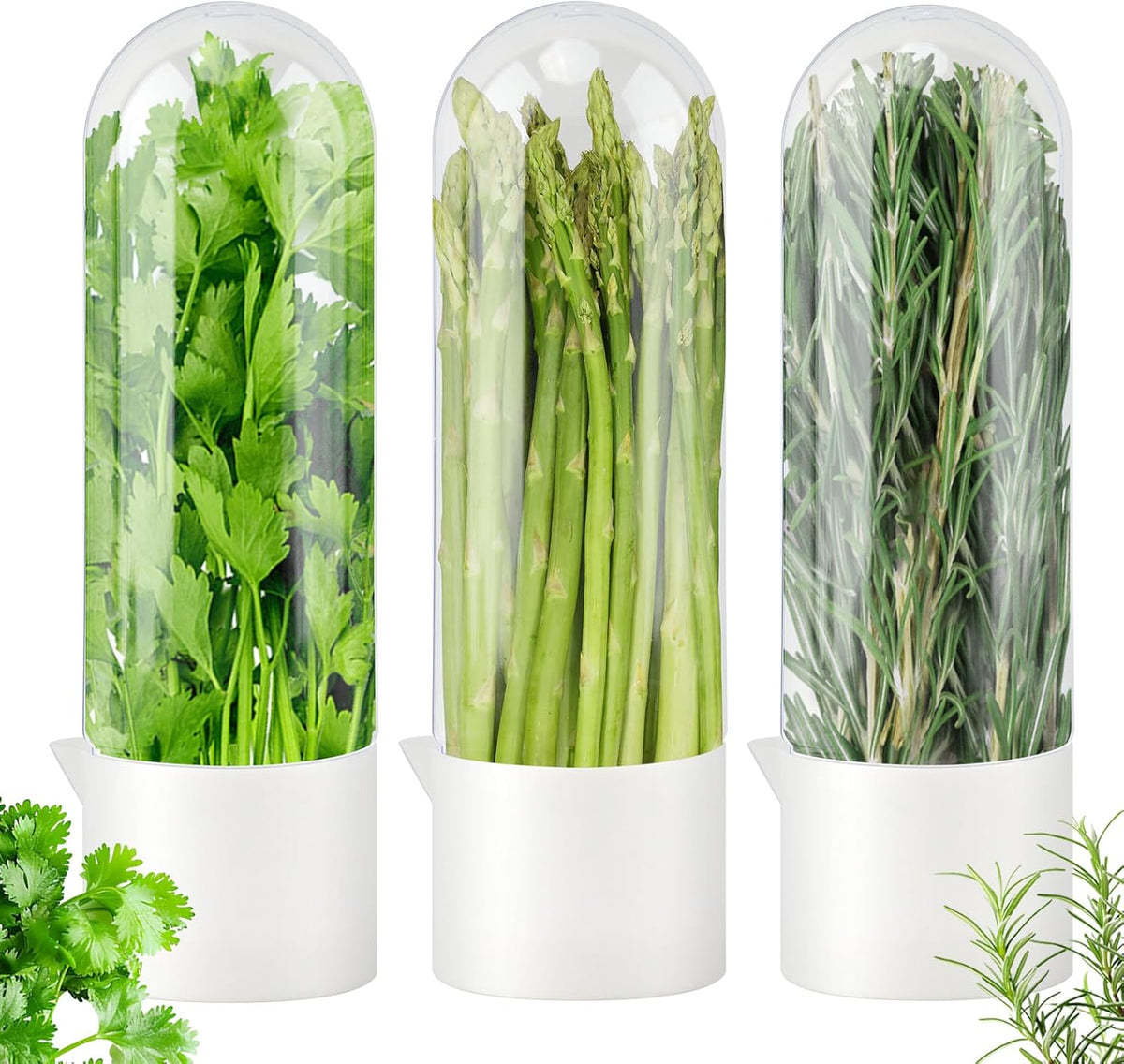Fresh Herb Keeper for Refrigerator, Clear Herb Saver Pod Vegetable Preservation Storage Container for Cilantro Parsley Asparagus Mint, Extends Freshness Up to 2-3 Weeks(Herb Keeper)