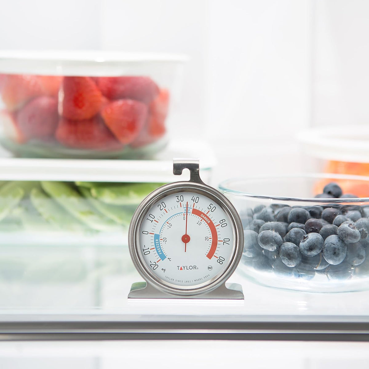 Precision Products 5924 Large Dial Kitchen Refrigerator and Freezer Kitchen Thermometer, 3 Inch Dial,Silver
