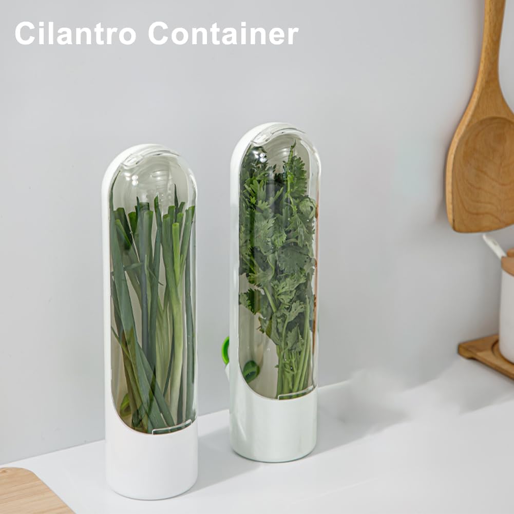 2PCS Herb Saver, Herb Keeper and Herb Saver for Refrigerator, Cilantro Containers for Fridge, Fresh Herb Keeper for Cilantro,Parsley, Vegetable - Keeps Greens Fresh