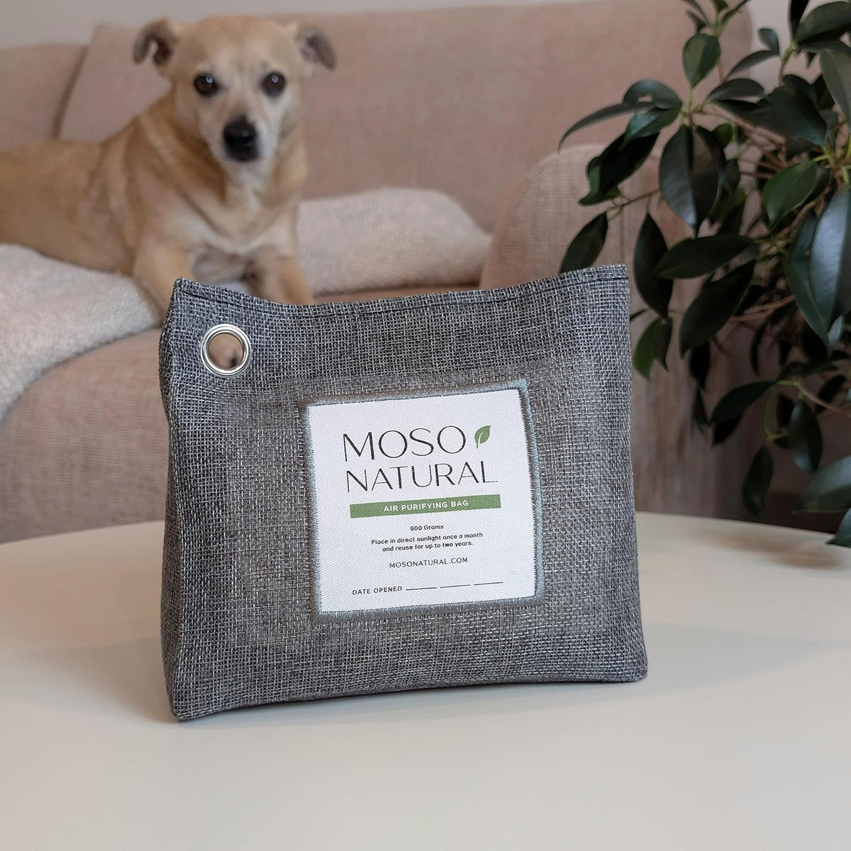 Air Purifying Bag 600g, Premium Charcoal Odor Absorber & Room Deodorizer for Large Spaces — Lasts 2 Years, Bedroom, Basement, Pet Odor Eliminator for Home, Unscented Bamboo Charcoal Bag
