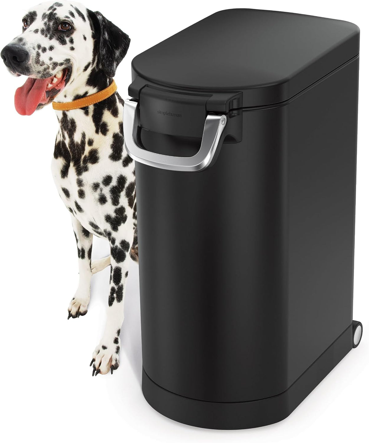 35 Liter, 40 lb / 18.1 kg X-Large Pet Food Storage Container for Dog Food, Cat Food, and Bird Feed, Brushed Stainless Steel