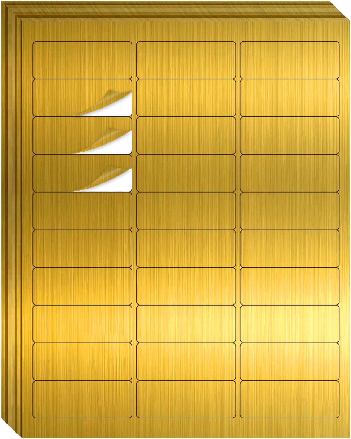 Transparent Stickers Labels - 1" x 2-5/8" Clear Address Labels Mailing Stickers for Laser/Inkjet Printer 8.5"×11"- 20 Sheet/ 600 Label