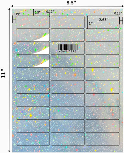 Transparent Stickers Labels - 1" x 2-5/8" Clear Address Labels Mailing Stickers for Laser/Inkjet Printer 8.5"×11"- 20 Sheet/ 600 Label