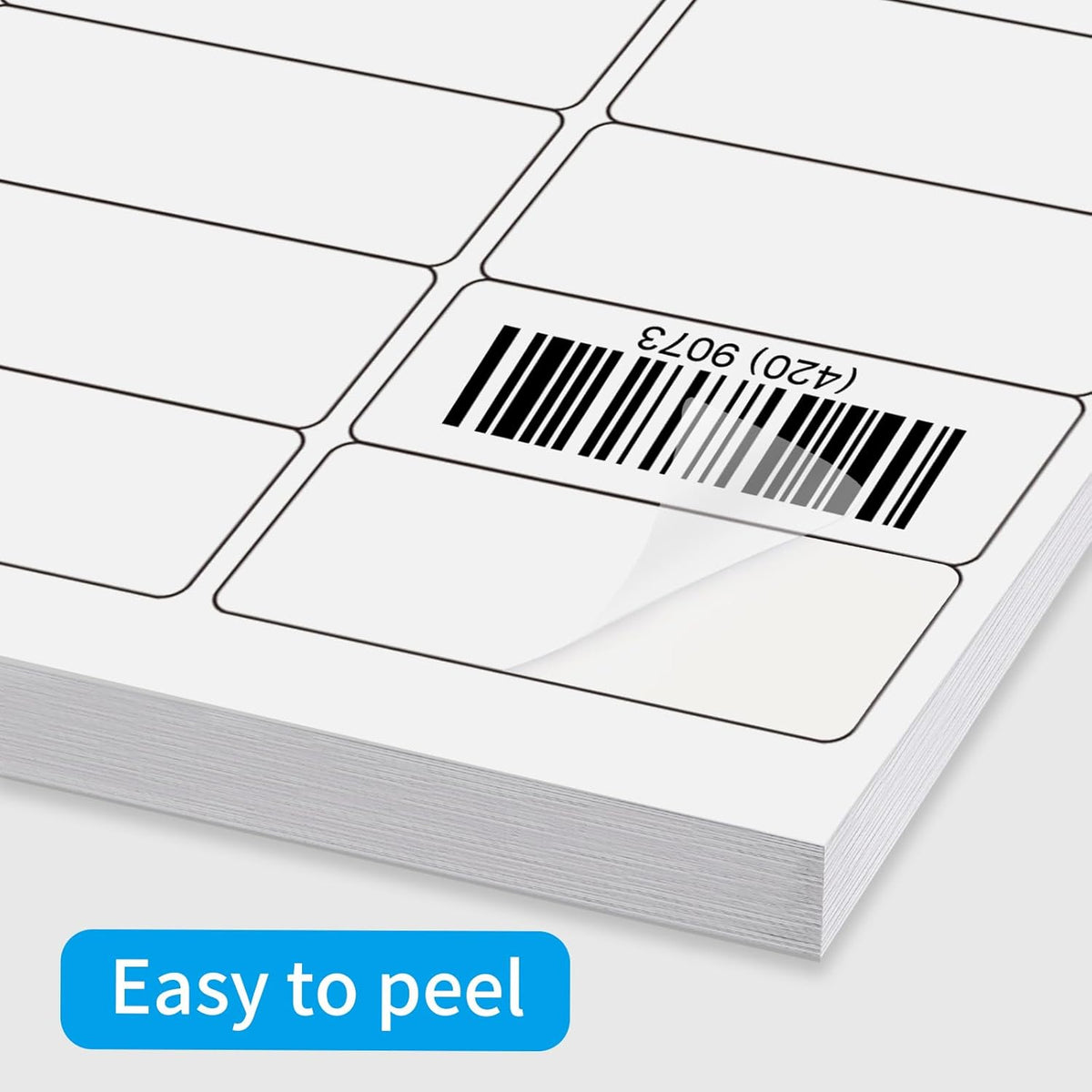 Transparent Stickers Labels - 1" x 2-5/8" Clear Address Labels Mailing Stickers for Laser/Inkjet Printer 8.5"×11"- 20 Sheet/ 600 Label