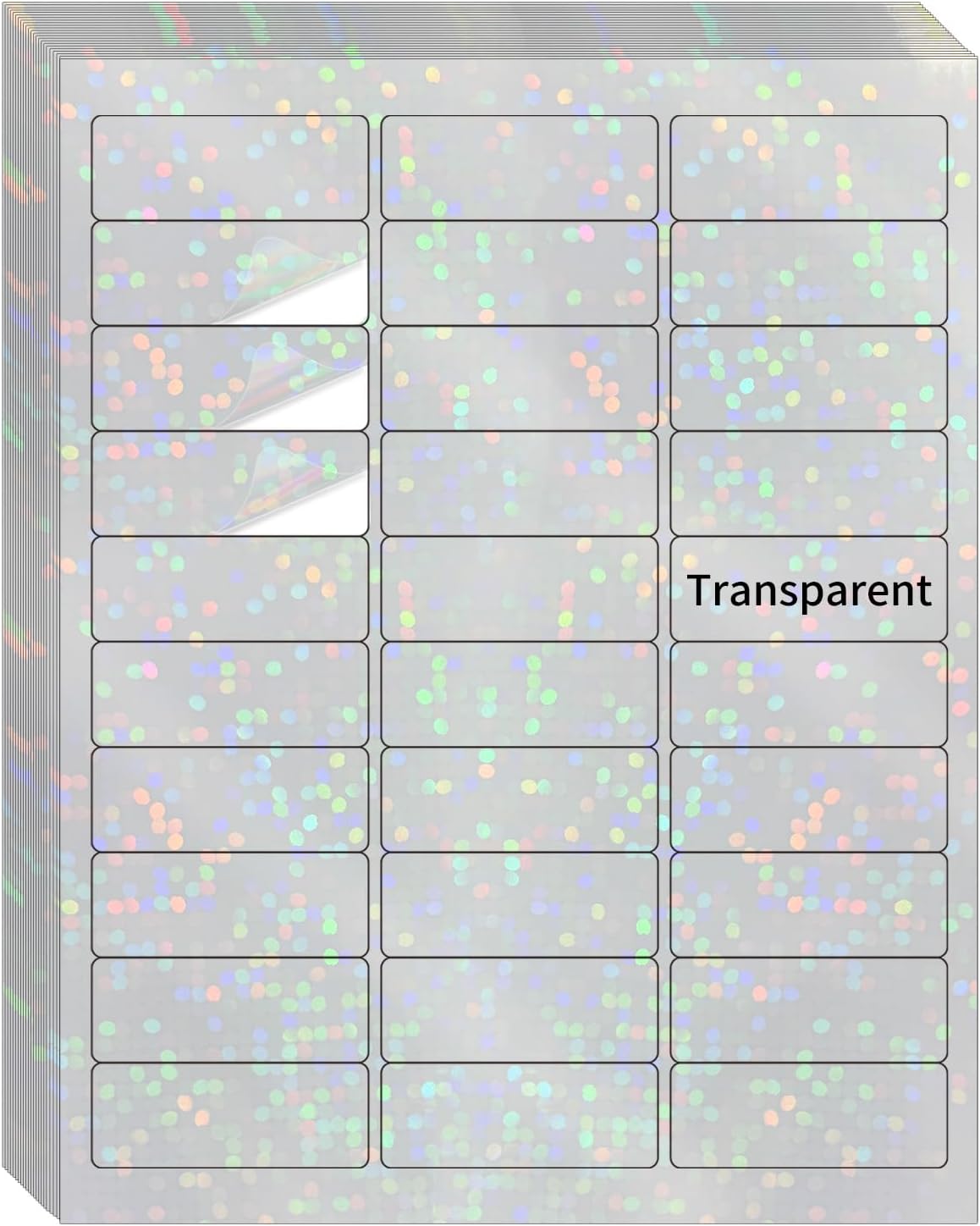 Transparent Shipping Stickers Labels - 2" x 4" Clear Address Labels Mailing Stickers for Laser/Inkjet Printer 8.5"×11"- 200 Labels (Clear Holographic Dot)