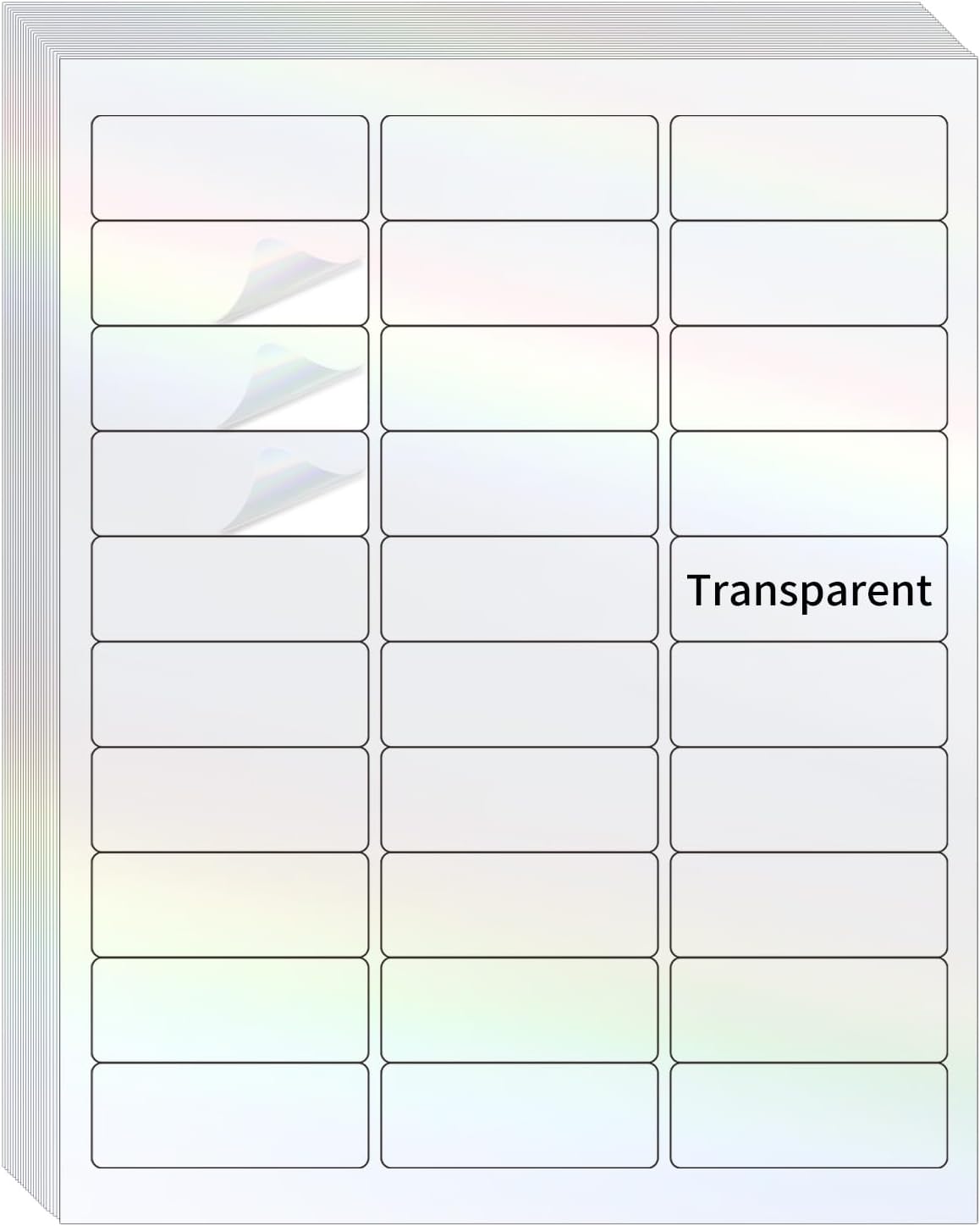 Transparent Shipping Stickers Labels - 2" x 4" Clear Address Labels Mailing Stickers for Laser/Inkjet Printer 8.5"×11"- 200 Labels (Clear Holographic Dot)
