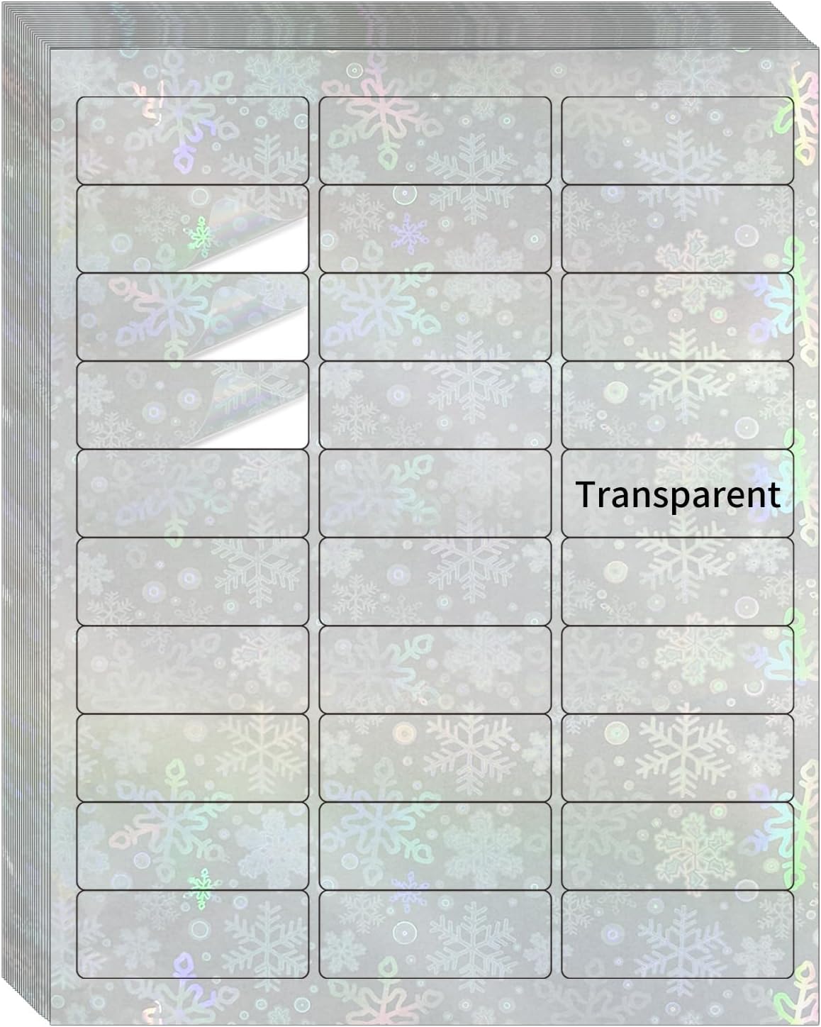 Transparent Shipping Stickers Labels - 2" x 4" Clear Address Labels Mailing Stickers for Laser/Inkjet Printer 8.5"×11"- 200 Labels (Clear Holographic Dot)