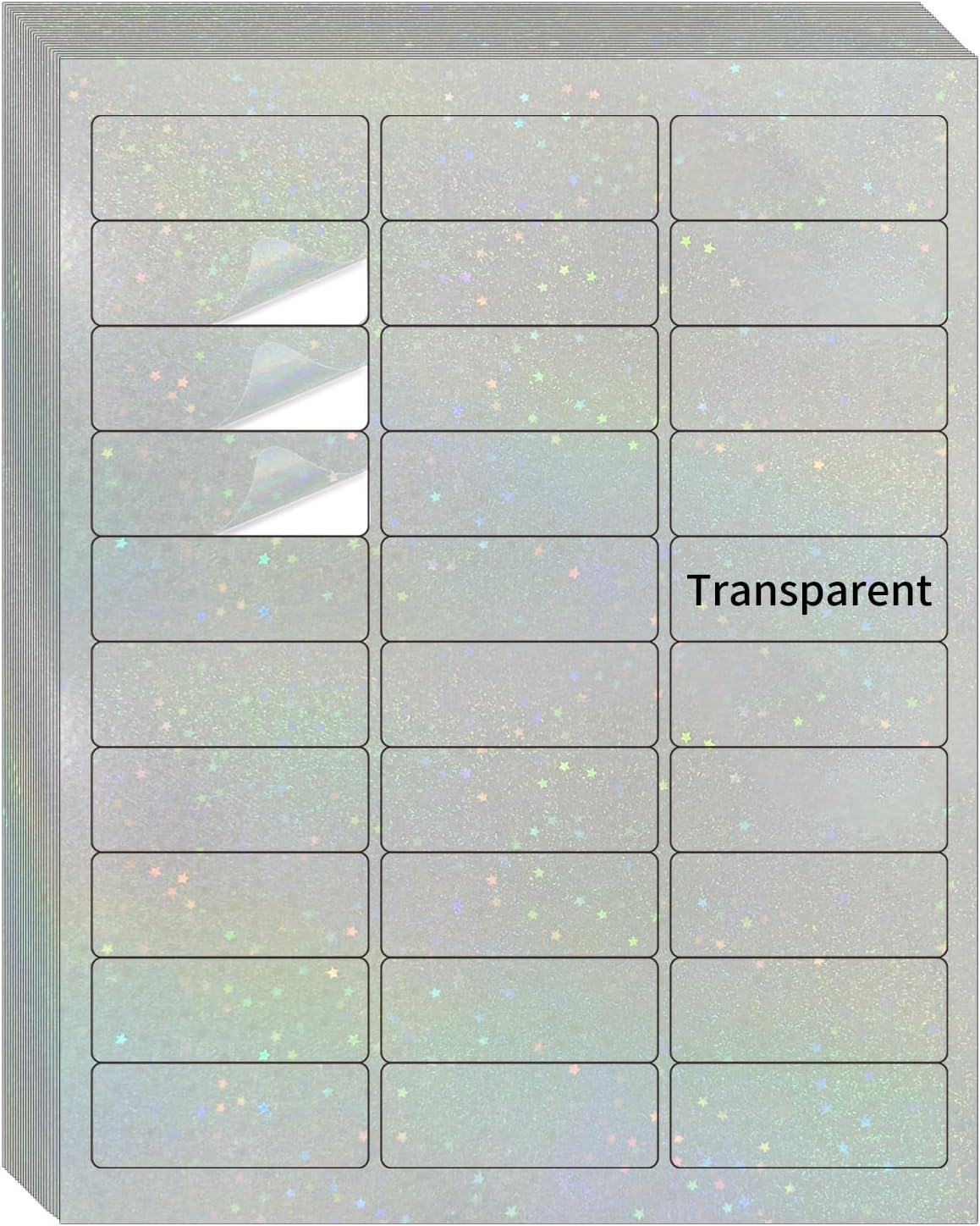 Transparent Shipping Stickers Labels - 2" x 4" Clear Address Labels Mailing Stickers for Laser/Inkjet Printer 8.5"×11"- 200 Labels (Clear Holographic Dot)