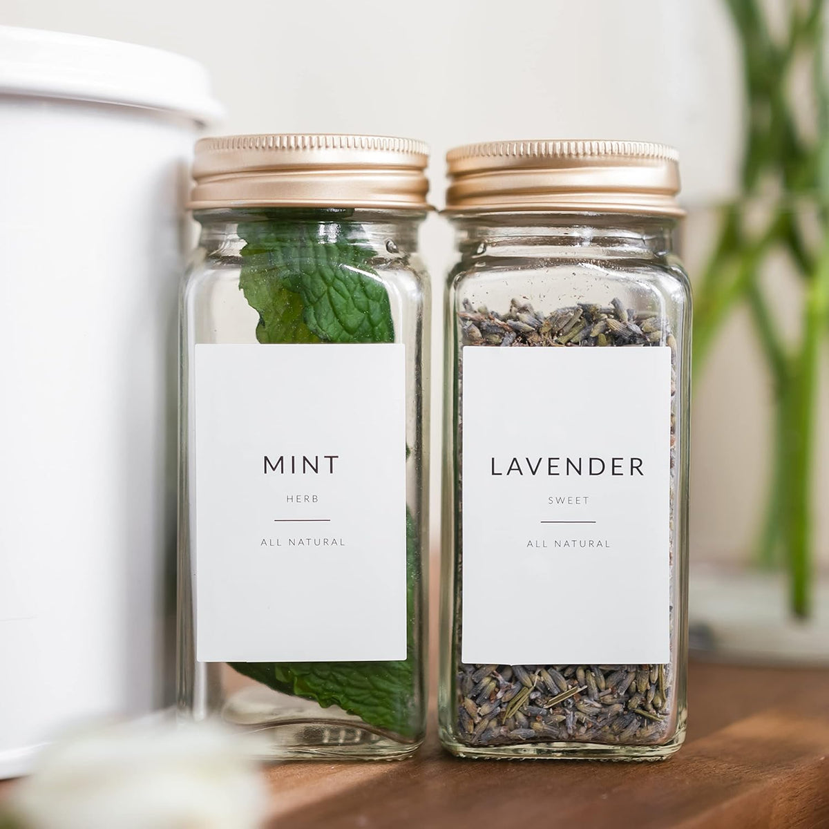 Indian Spice Labels Stickers for Jars and Lids - 96 South Asian Spice Jar Labels Waterproof Preprinted, Seasoning Herb Stickers for Containers Kitchen Pantry Organization