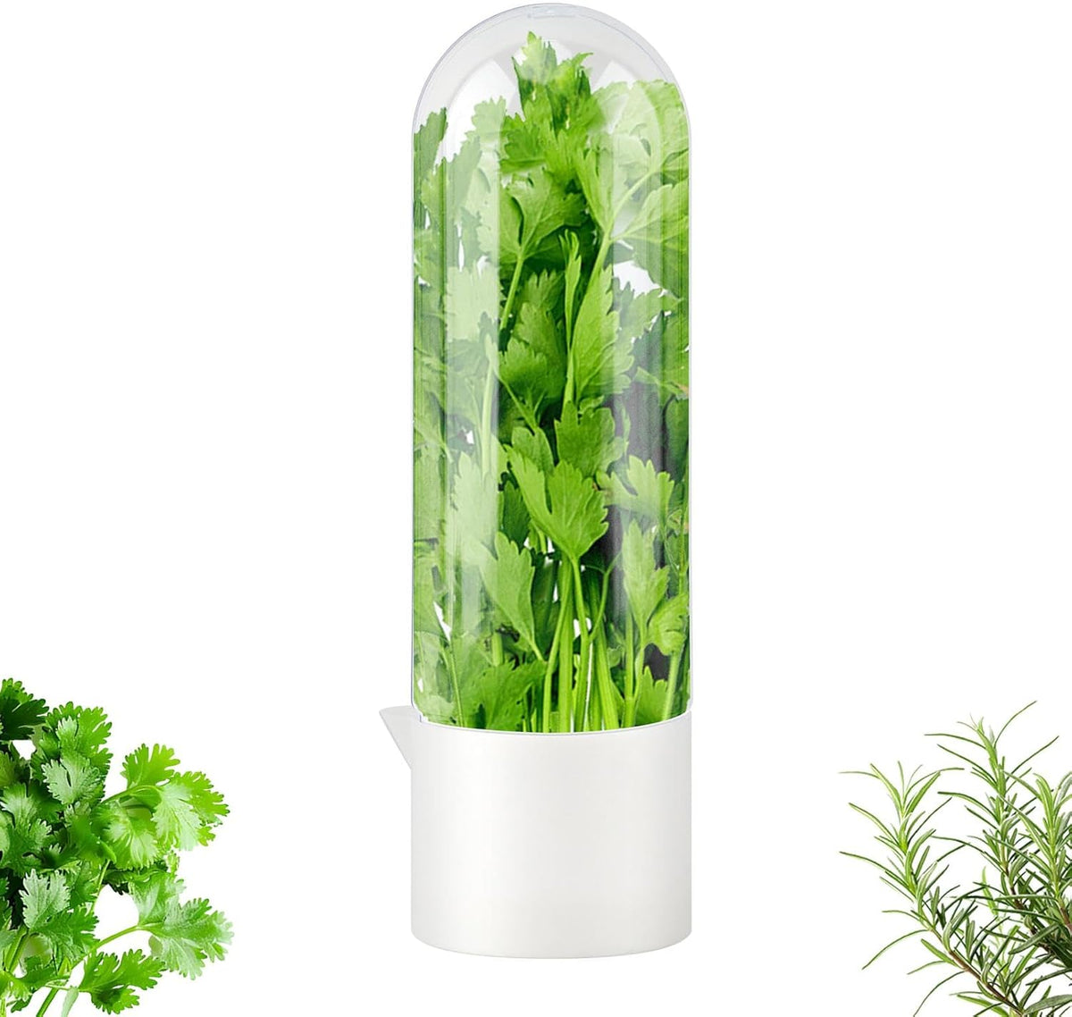 Herb Keeper 3 in x 10 in Tall Cilantro Storage Container 3 Pack | Water reservoir keeps stems hydrated while leaves stay dry; snap-on clear lid fits fridge door bins; easy clean ABS plastic