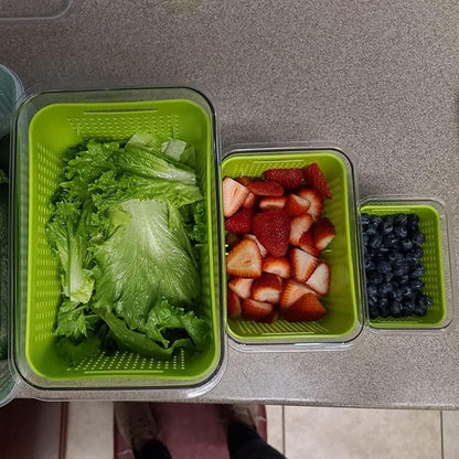 Fresh Container, 3PACK Produce Saver Container BPA Free Fridge Organizer for Vegetable Fruit and Salad Partitioned Food Storage Container with Vents Stay Fresh Containers Not Dishwashers Safe