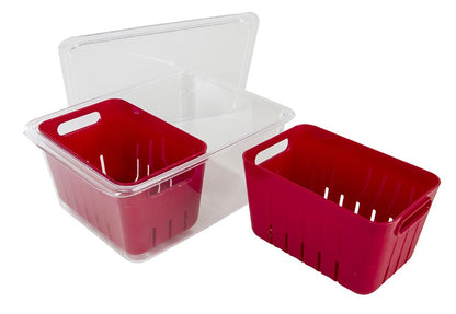 Colander Bin, Produce Saver, Fridge Organizer With Lid, Wash, Strain and Store, Great for Refrigerator, Freezer and Pantry, Medium, Mint Green, Pack of 1