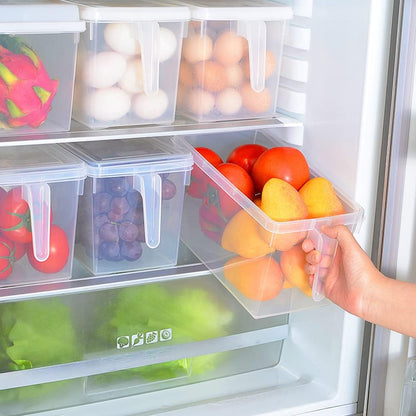 Fridge Organizer, 4 Pack Refrigerator Organizer Bins, Clear with Handle & Lid, Fruit Containers for Fridge, Fridge Storage to Keep Fresh for Food, Vegetables, 5L