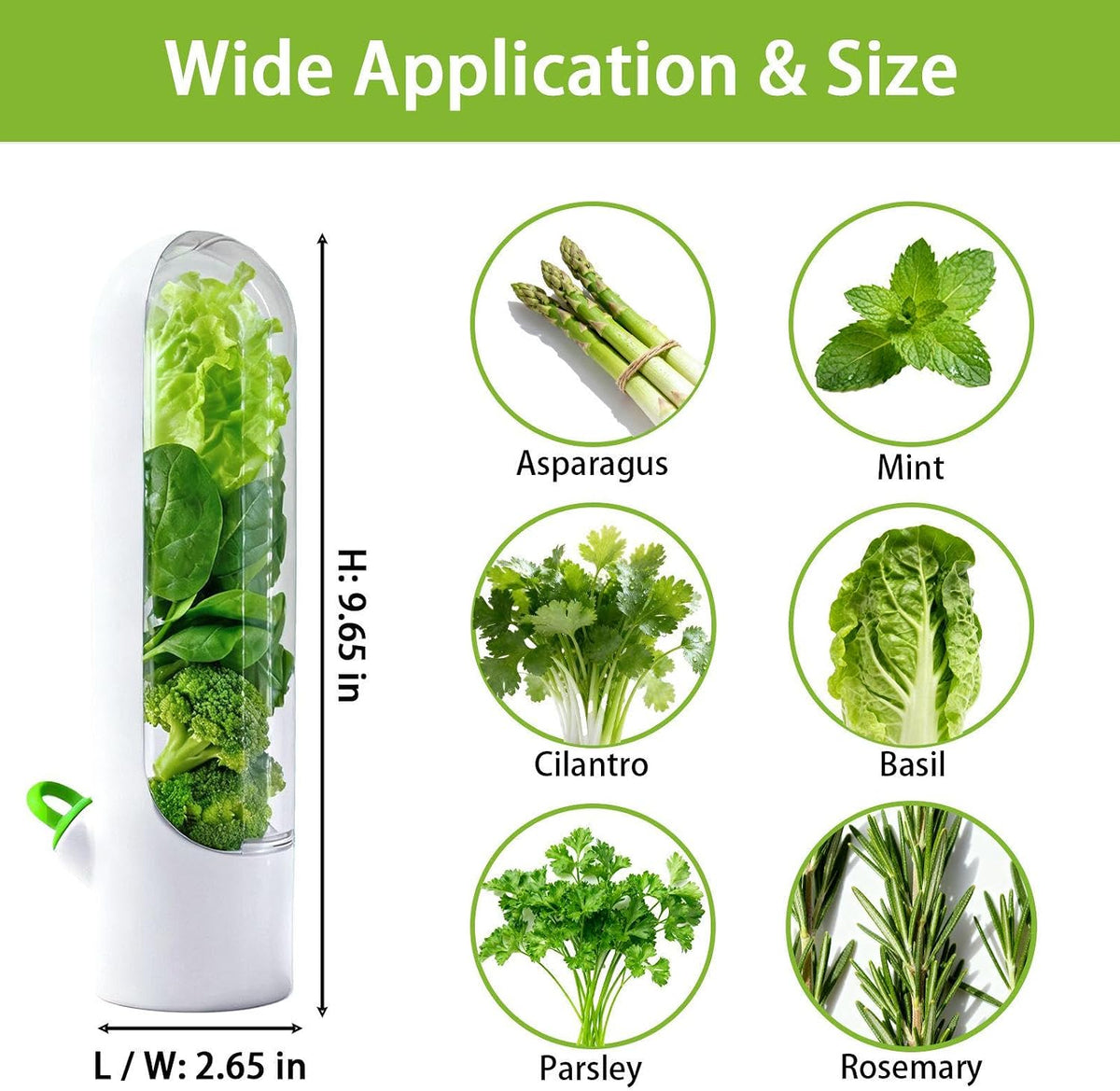 3 Pack Herb Saver for Fridge Cilantro Basil Storage Container | Veggies Preservation Freshness Up to 2-3 Weeks,Excellent Airtightness,Compact,Easy to Store,Removable Silicone Drain Plug