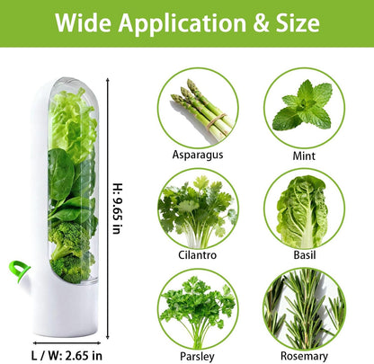 3 Pack Herb Saver for Fridge Cilantro Basil Storage Container | Veggies Preservation Freshness Up to 2-3 Weeks,Excellent Airtightness,Compact,Easy to Store,Removable Silicone Drain Plug