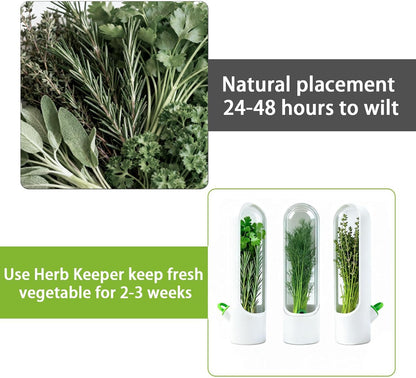 3 Pack Herb Saver for Fridge Cilantro Basil Storage Container | Veggies Preservation Freshness Up to 2-3 Weeks,Excellent Airtightness,Compact,Easy to Store,Removable Silicone Drain Plug