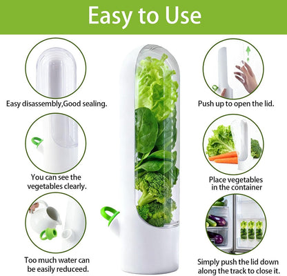 3 Pack Herb Saver for Fridge Cilantro Basil Storage Container | Veggies Preservation Freshness Up to 2-3 Weeks,Excellent Airtightness,Compact,Easy to Store,Removable Silicone Drain Plug