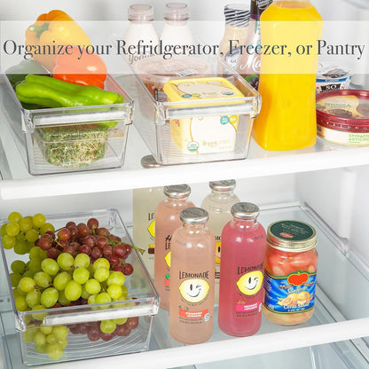 2 Pack Medium Refrigerator Storage Bin | Fridge & Freezer | Kitchen Organization | Stainless Steel Handle | Countertop | Cabinets | Pantry | Clear