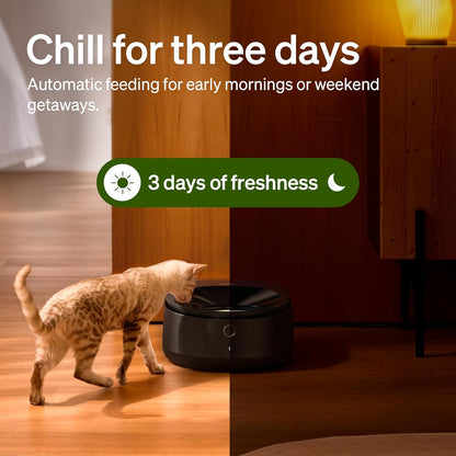 Automatic Wet Food Cat Feeder 2026 New Version with Semiconductor Cooling, Refrigerated 3 Fresh Meals in 3 Days, App-Controlled Pet Food Dispenser, Stainless Steel Bowl, Easy to Clean