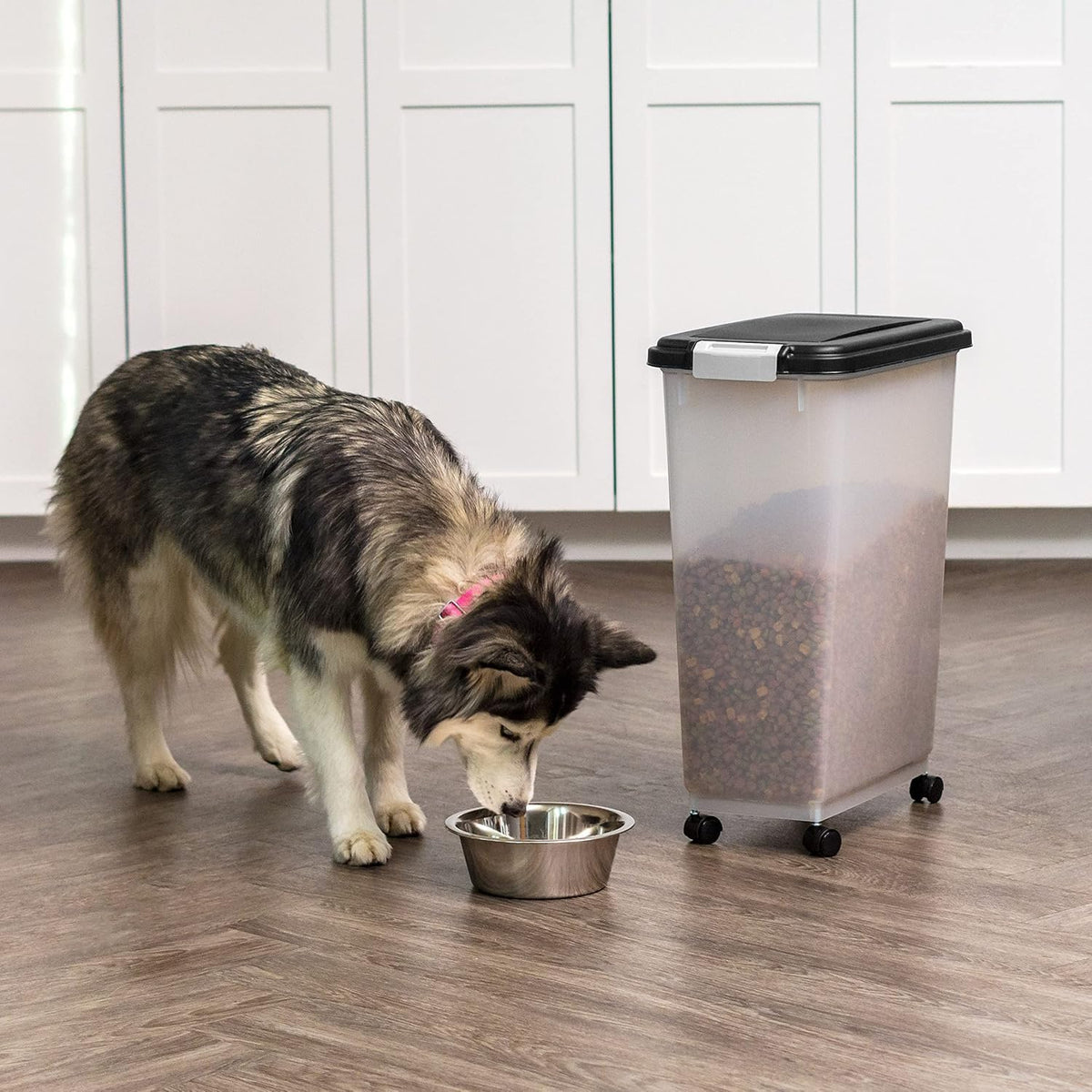 Airtight Pet Food Storage Rolling Container, 30 lb Capacity, Black