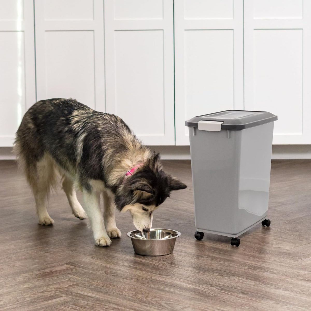 Airtight Pet Food Storage Rolling Container, 30 lb Capacity, Black