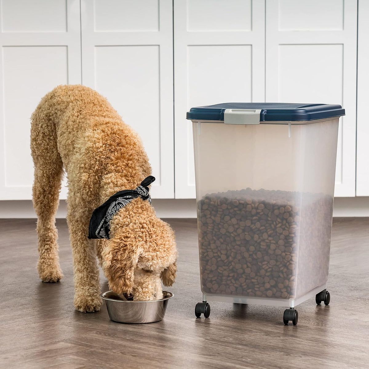 Airtight Pet Food Storage Rolling Container, 30 lb Capacity, Black